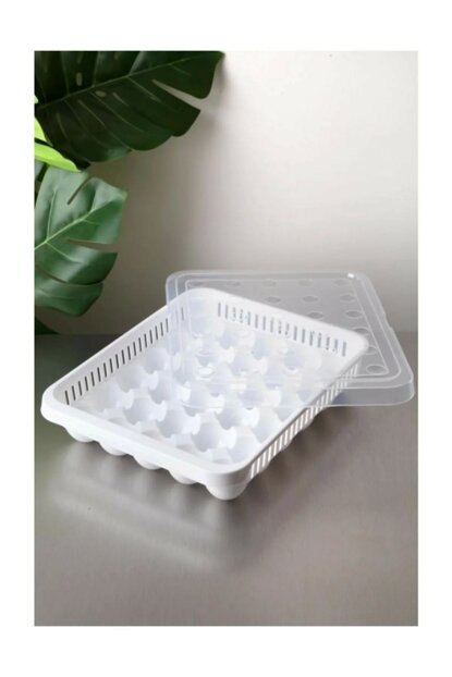 Plastic Egg Storage Container Box 30 Eggs AK681 (Parcel Rate)