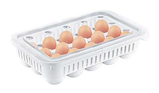 Plastic Egg Storage Container Box 15 Eggs 28 x 18 x 8 cm AK680 (Parcel Rate)