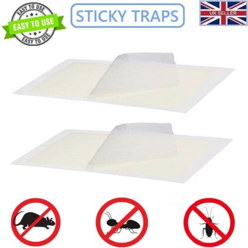 Easy To Use Poison Free Mouse Glue Traps 2 Pack TR002 (Parcel Rate)