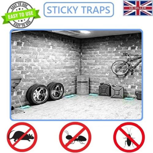 Easy To Use Poison Free Mouse Glue Traps 2 Pack TR002 (Parcel Rate)